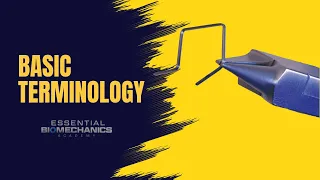 Parts of Rectangular Loop Essential Biomechanics