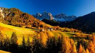 إلا تنصروه فقد نصره الله تلاوة هادئة للشيخ وديع اليمني 