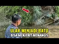 Download Lagu Lagi Viral.! Manusia Ular Bertapa Menjadi Batu Bisa Menjerit