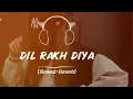 Download Lagu DIL RAKA DIyA(slowed+Reverb)  1000 views please ❤️❤️