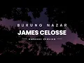 Download Lagu JAMES CELOSSE - BURUNG NAZAR (KARAOKE VERSION)