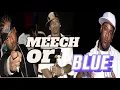WHO s SMARTEST BIG MEECH OR BLUE DA VINCI