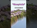 The Best Minecraft Cherry Blossom Seeds