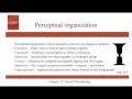 Gestalt Psychology - Ch12