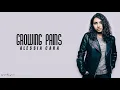 Alessia Cara - Growing Pains (Lyrics)
