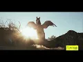 What s Trending Budweiser Super Bowl Ad