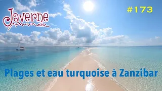 #173 Plages et eau turquoise à Zanzibar