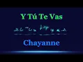 Chayanne  Y Tú Te Vas  Karaoke 4K