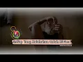Download Lagu Story Wa Setiap Yang Kulakukan Untuk Dirimu