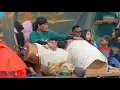 Download Lagu Sampe Baperr⁉️ Aksi Kendang KANG CIPUT 1289 ft Gea Ayu Jaranan ROGO SAMBOYO PUTRO