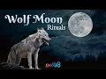 Download Lagu What January's FULL WOLF MOON In Cancer Means For Your Magick