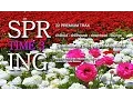Lagu DJ Maretimo - Spring Time Vol.3 (Full Album) HD, 22 premium chillout sounds