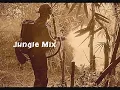 Lagu 1993 - 1996 Old Skool Jungle Mix