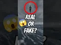 Is MERMAIDS Actually Real