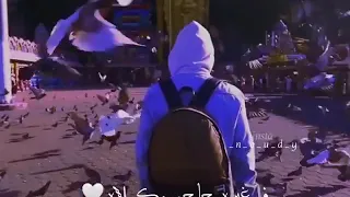 كل واحد ناقصة حاجة 