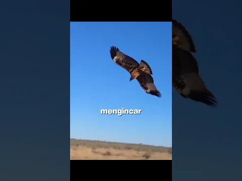 Burung Unta Ini Sosok Ayah Sejati π¦π