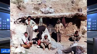 كمال يلدو قرأة في كتاب النصير سعيد الياس شابو كامران وطنيون بلا وطن 