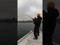 this clip screams social fishing