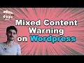 Mixed Content Wordpress - why no padlock