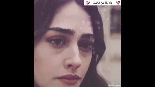 موضوع فراقك عني مش سهل وبسيط حماقي دندنها