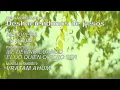 Download Lagu DIA 18. DESHACIÉNDONOS DEL PESO.. 21 días de meditación guiada de DEEPAK CHOPRA