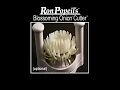 Ron Popeil s Blossoming Onion Cutter French Fry Cutting Attachment