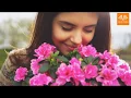 Pushya Nakshatra Personalities - Secret of success