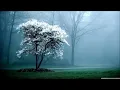 Jose Mari Chan - A Love to Last a Lifetime (Lyrics)