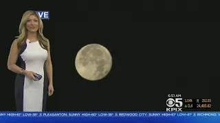 Monday Morning Forecast With Neda Iranpour