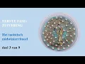 Download Lagu 3 van 9 - Het taoïstisch midwinterritueel - Eerste fase: zuivering
