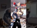 Download Lagu Daddy Cat destroy Bulbs #cat #funny #cartoon #kitten #catlovers #viralcats #cat #cute #catstory