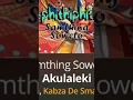 Samthing Soweto - Akulaleki  ft Dj Maphorisa, Kabza De Small & Shasha🔥🎶