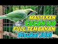 Lagu MASTERAN CUCAK IJO TEMBAKAN 2 JALUR  biar mudah masuk masteran cucak ijo full tembakan kasar