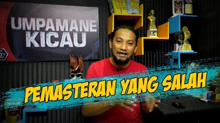 awas caranya salah pemasteran murai batu pakai mp3