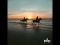 Download Lagu يا قدس أنا قادمون...فريق الوعد