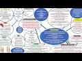 Concept Map - Musculoskeletal Disorders