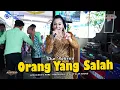 Download Lagu ORANG YANG SALAH - Tika Bahena - AREVA MUSIC HOREE - BERKAH MULYO ALAP ALAP SOUND