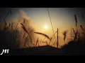 Download Lagu Mellomaniac | DJ Shah | Relaxing Music | 1 Hour Loop