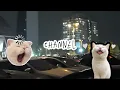 Watch this before you miss it out