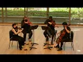 Lagu Ata Ghavidel, The Mirror Orchard (Dedicated to the ILO Quartet) - ILO Quartet