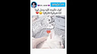 قد ايش قسوة قلبه عشان يعمل بالقطة كذا Tailly 