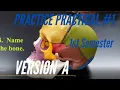 A P PRACTICE PRACTICAL 1st Semester Practice Practical Version A