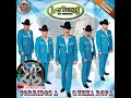 Los Tucanes De Tijuana Mis Tres Animales