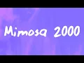 Furacão 2000, Nyasia - Mimosa 2000