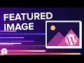 How to Add Featured Images in WordPress Step by Step