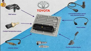 فتح ربلات اصلاح كلتش السفلي باص هايس تويوتا بترول السعوديه تيك توك اكسبلور لايك 