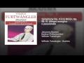 Download Lagu Symphony No. 4 in E Minor, Op. 98: IV. Allegro energico e passionato