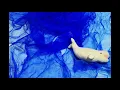 Baby Beluga | Nursery Rhymes | Kids Songs | Tunes for Tykes