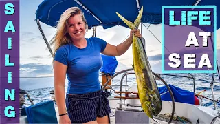 Life Mid-Ocean | SAILING Across the Indian Ocean Ep.108