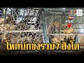 Download Lagu ขัง 7 สิงโตรอปรับพฤติกรรมโหด | ข่าวอรุณอมรินทร์ | 12/9/68